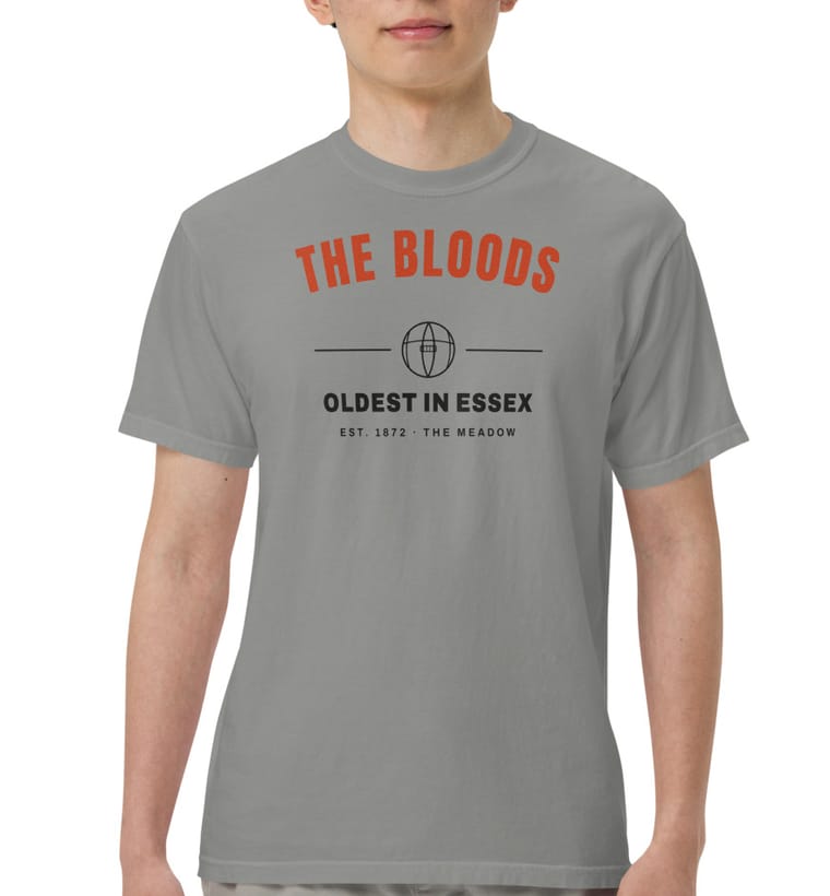 THE BLOODS tee in grey, worn
