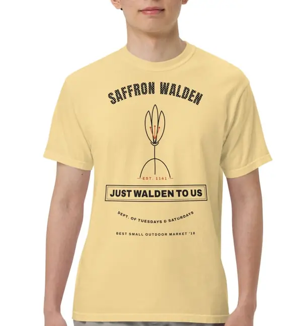 JUST WALDEN tee