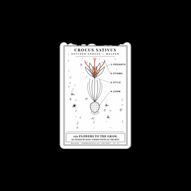 Crocus sticker
